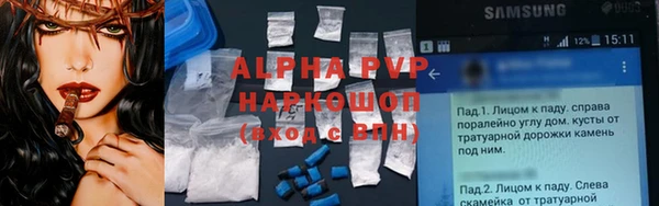 ПСИЛОЦИБИНОВЫЕ ГРИБЫ Елабуга