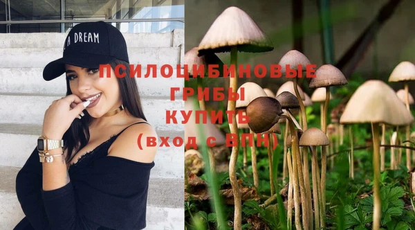 эйфоретик Краснотурьинск