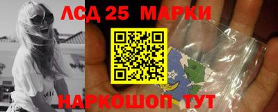 гидропоника Берёзовский