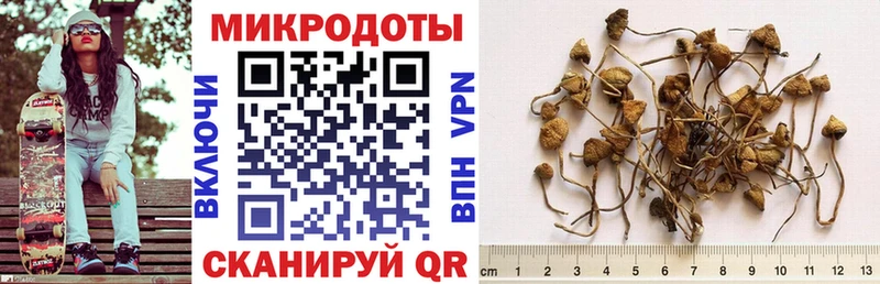Галлюциногенные грибы Psilocybine cubensis blacksprut онион Ижевск купить закладку