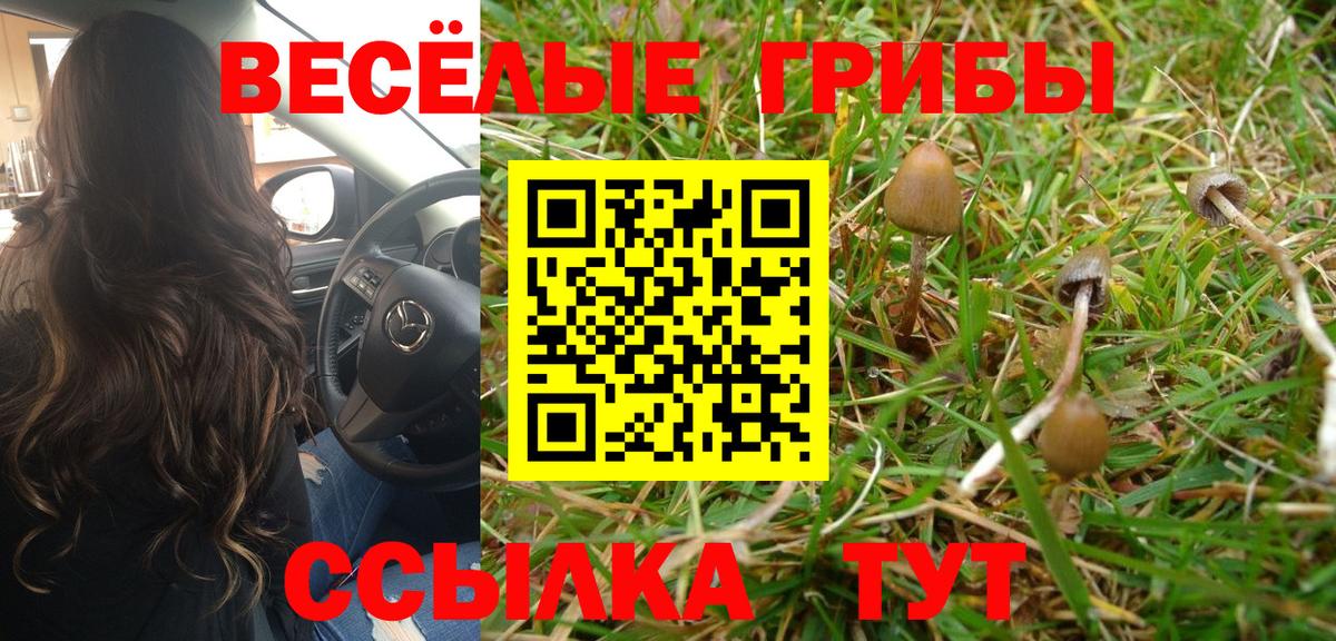 Псилоцибиновые грибы Magic Shrooms Ижевск