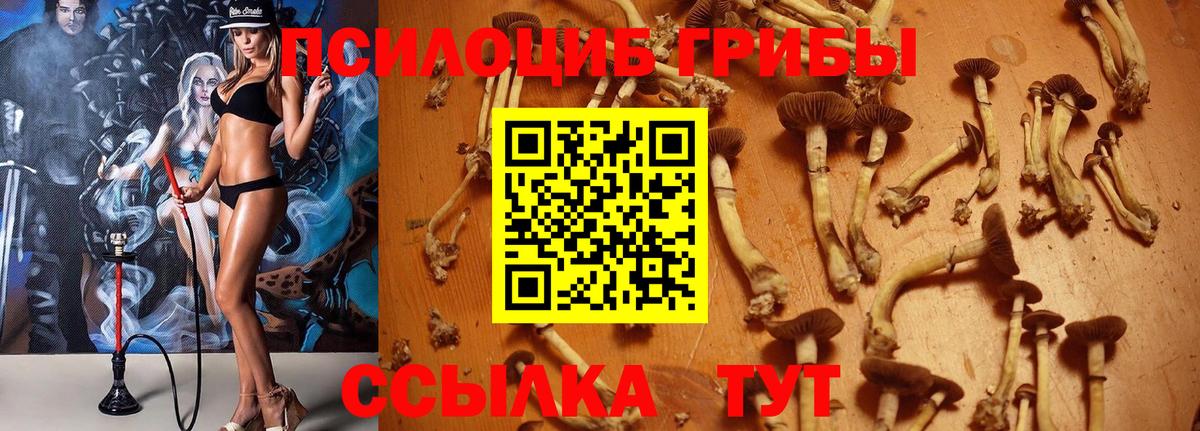 Галлюциногенные грибы GOLDEN TEACHER Ижевск