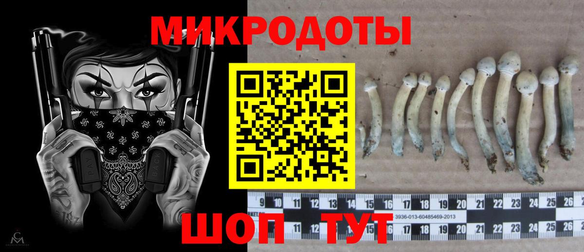 Псилоцибиновые грибы Cubensis  Вход с VPN  Ижевск 
